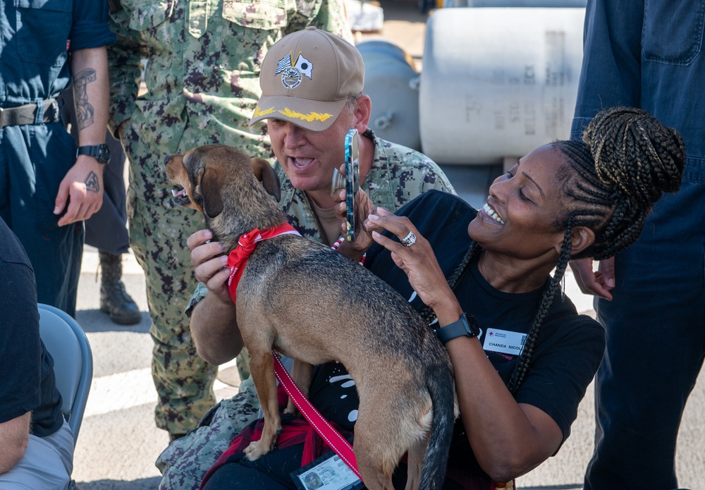 American Red Cross Brings Emotional Therapy Dogs to USS Rushmore (LSD 47)