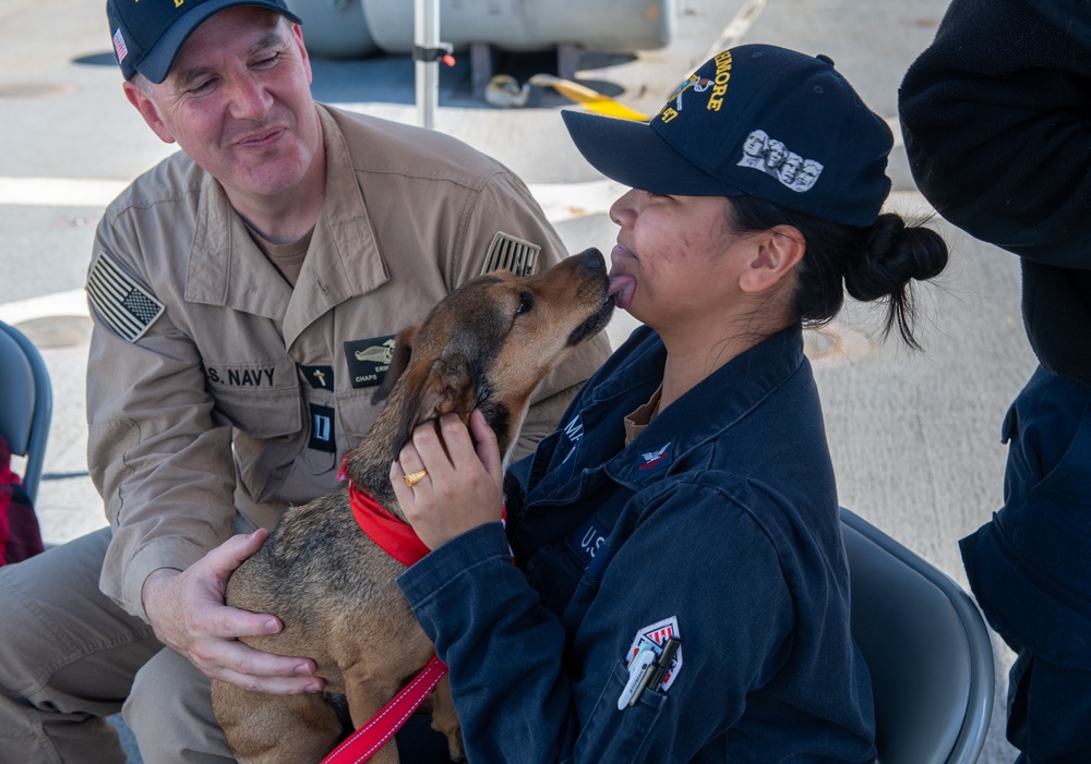 American Red Cross Brings Emotional Therapy Dogs to USS Rushmore (LSD 47)