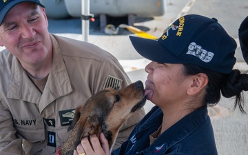 American Red Cross Brings Emotional Therapy Dogs to USS Rushmore (LSD 47)