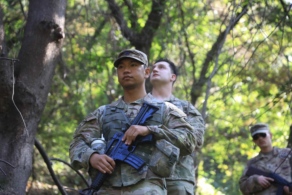 Camp Casey Garrison FTX: Patrol Lanes