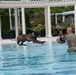 Dogs dive deep: Military working dogs conduct water training