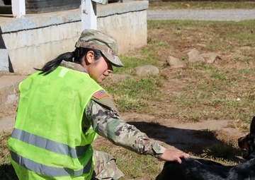 NC Guardsmen Go Door to Door after Tropical Storm Helene