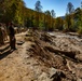 North Carolina National Guard soldiers assist the Indiana Task Force One Urban Search and Rescue team