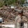 USACE Personnel Conduct Detailed Assessment of Marshall Wastewater Treatment Facility USACE Personnel Conduct Detailed Assessment of Marshall Wastewater Treatment Facility