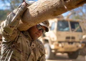 U.S. Army Soldiers assigned to 20th Engineer Brigade, 18th Airborne Corps, conduct route clearance at Sweet Dreams North Cove, North Carolina