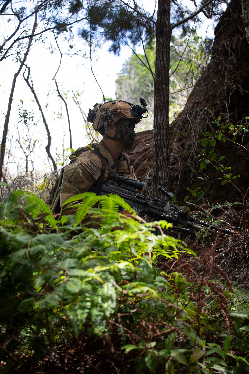 2-14, 3-4 Soldiers Train with JGSDF during JPMRC 25-01