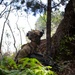 2-14, 3-4 Soldiers Train with JGSDF during JPMRC 25-01