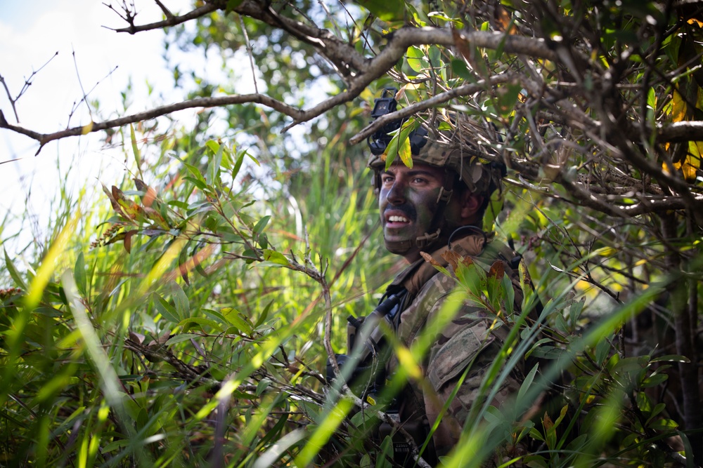 2-14, 3-4 Soldiers Train with JGSDF during JPMRC 25-01