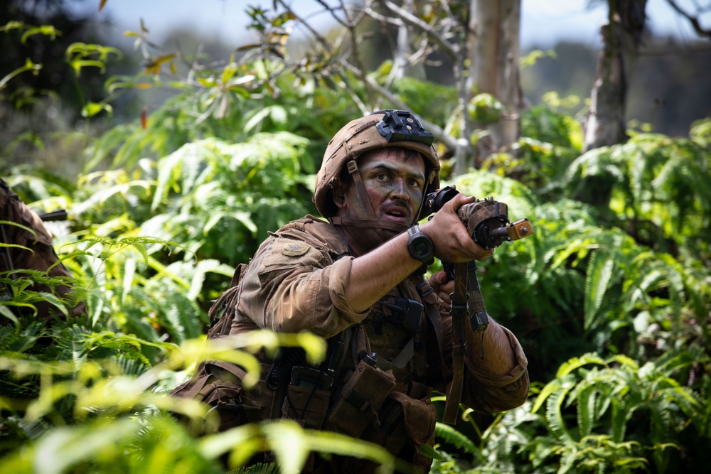 2-14, 3-4 Soldiers Train with JGSDF during JPMRC 25-01