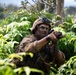 2-14, 3-4 Soldiers Train with JGSDF during JPMRC 25-01