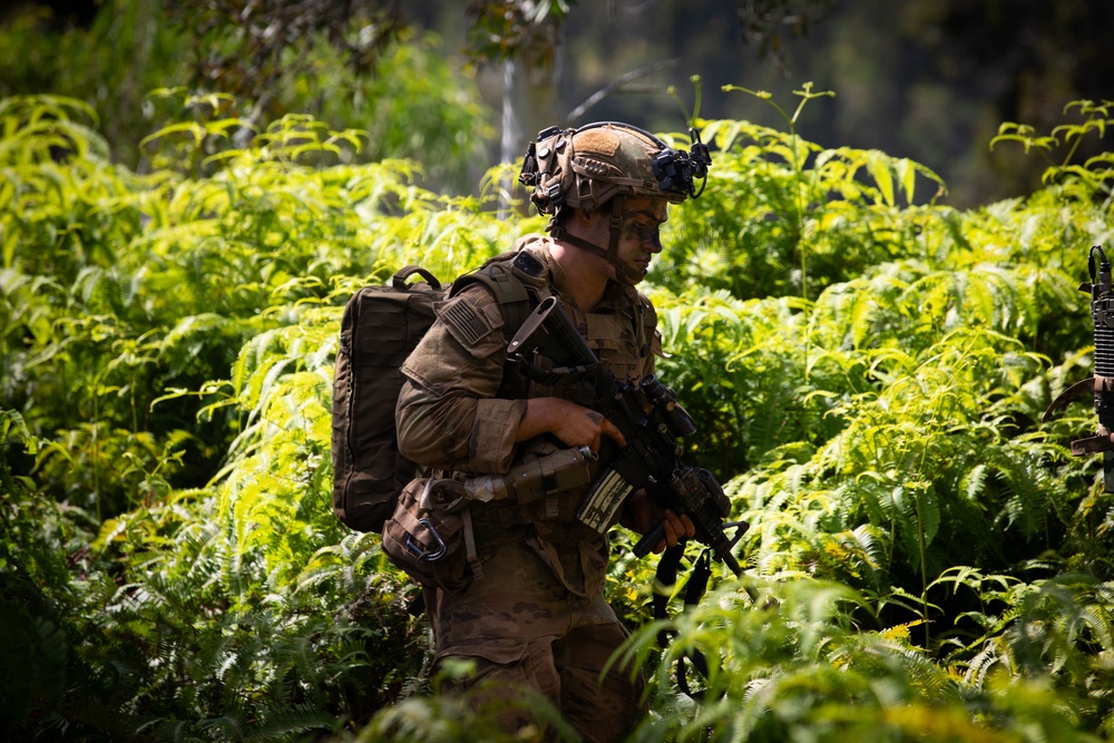 2-14, 3-4 Soldiers Train with JGSDF during JPMRC 25-01