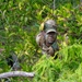 7th AS conducts SERE training during JPMRC 25-01