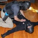 LEAD police participate in active shooter training