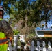 U.S. Army Corps of Engineers First Blue Roof Project in Sarasota for Hurricane Milton