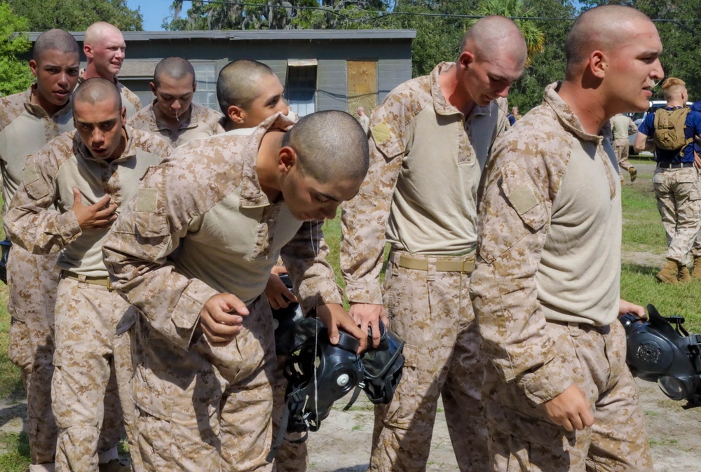 Mike Company Gas Chamber