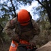 27th Engineer Battalion saws through debris while conducting route clearance