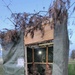 56SBCT Soldiers experience holiday of Sukkot