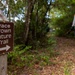 Clearing The Path: A restoration of the Grace Brown Nature Trail