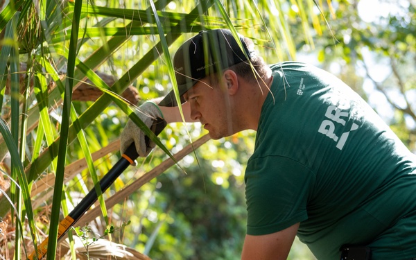 Clearing The Path: A restoration of Grace Brown Nature Trail