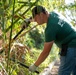 Clearing The Path: A restoration of Grace Brown Nature Trail