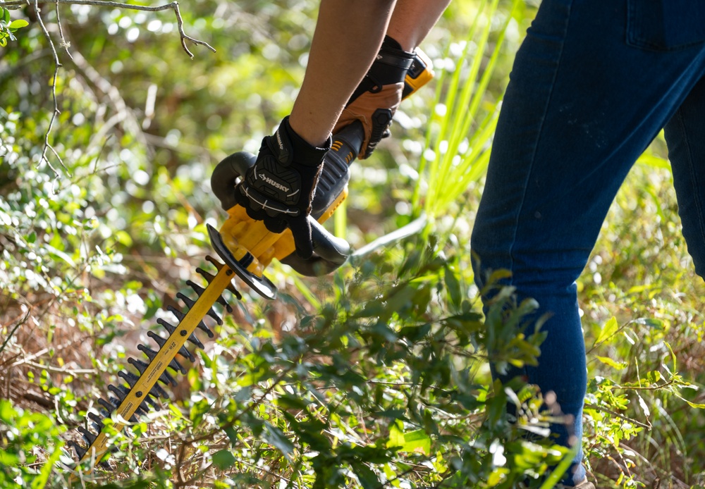 Clearing The Path: A restoration of Grace Brown Nature Trail