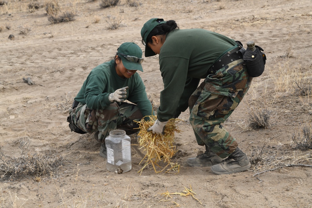 Environment Restoration Efforts at Biak Training Center