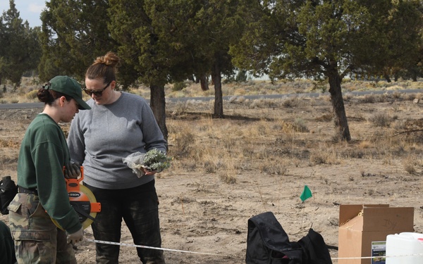 Environment Restoration Efforts at Biak Training Center