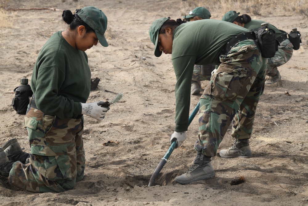 Environment Restoration Efforts at Biak Training Center