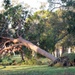 RED HORSE visits MacDill Air Force Base after Hurricane Milton