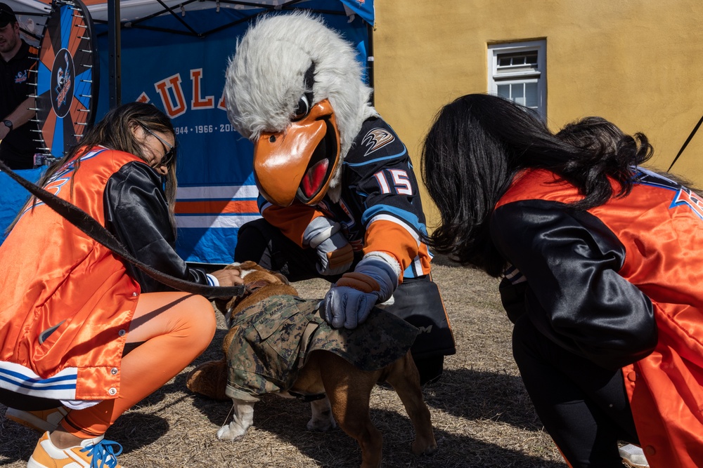 Mascot Monday – San Diego Sports Military Alliance