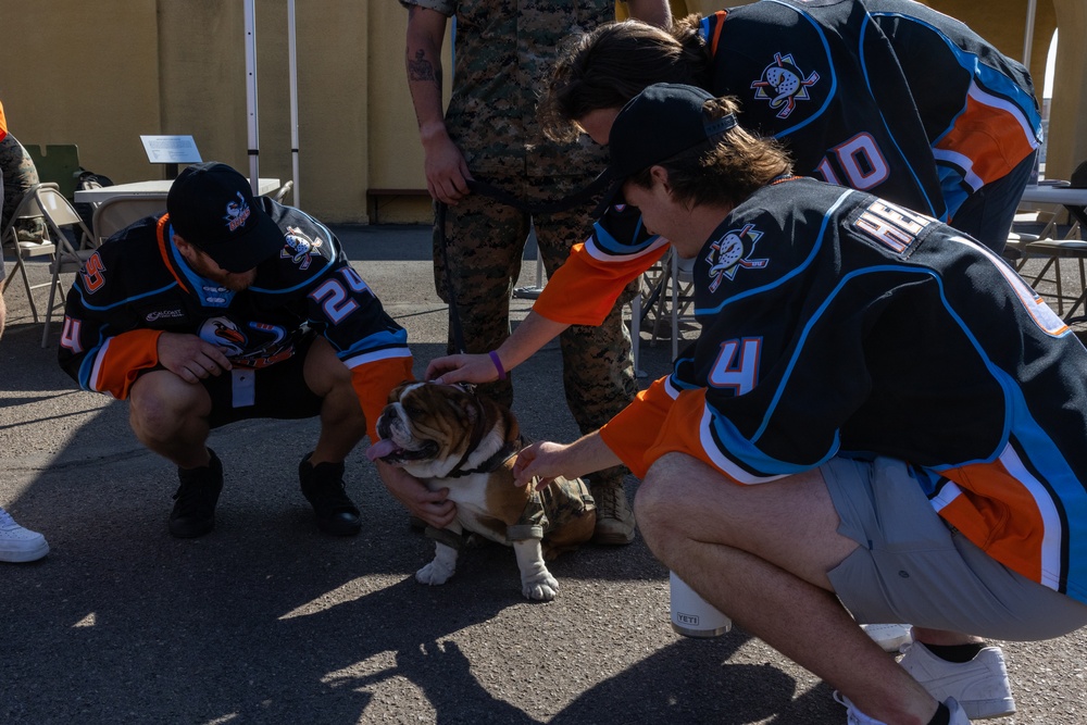 Mascot Monday – San Diego Sports Military Alliance