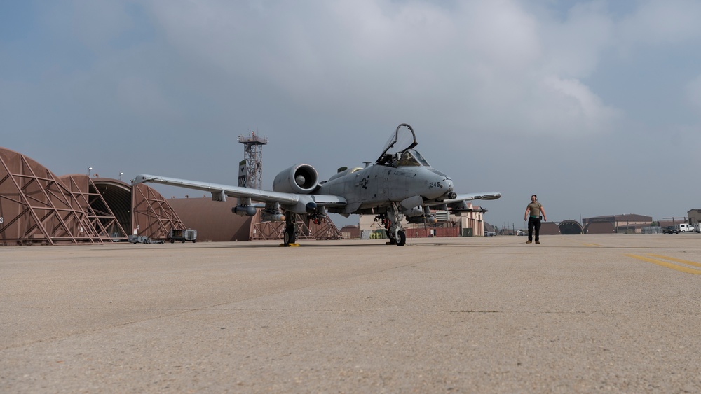 Legacy of partnership: 25th FS hosts Buddy Squadron 25-1