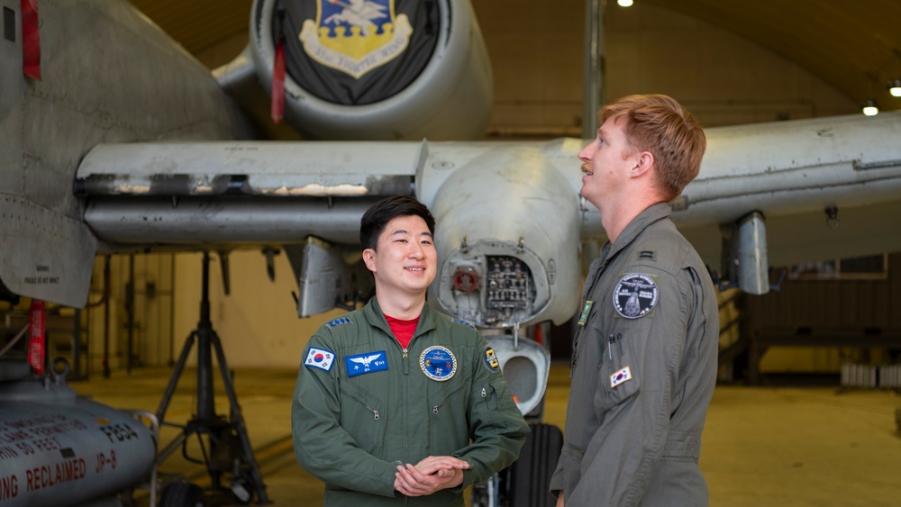 Legacy of partnership: 25th FS hosts Buddy Squadron 25-1