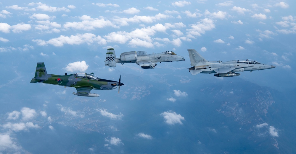 Legacy of partnership: 25th FS hosts Buddy Squadron 25-1