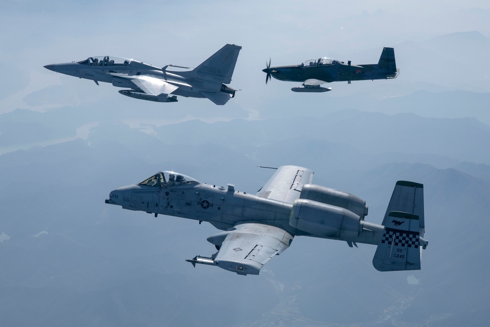 Legacy of partnership: 25th FS hosts Buddy Squadron 25-1