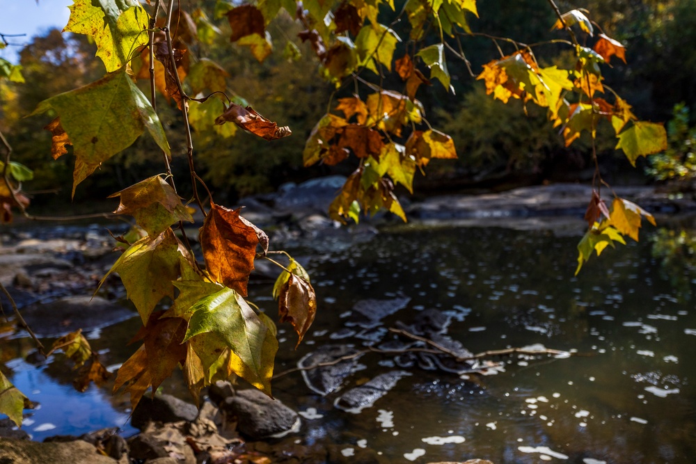 Autumn leaves bring fall colors to Pittsburgh District reservoirs, landscapes