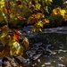 Autumn leaves bring fall colors to Pittsburgh District reservoirs, landscapes