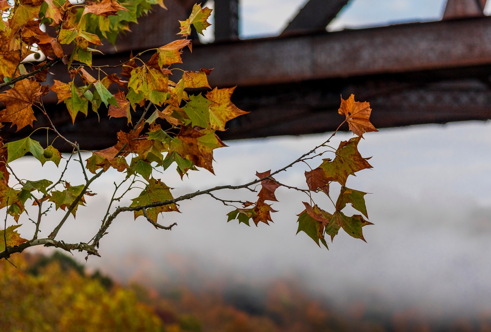 Autumn leaves bring fall colors to Pittsburgh District reservoirs, landscapes