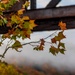 Autumn leaves bring fall colors to Pittsburgh District reservoirs, landscapes