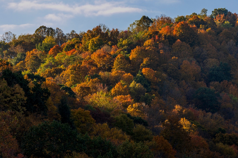 Autumn leaves bring fall colors to Pittsburgh District reservoirs, landscapes