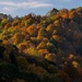 Autumn leaves bring fall colors to Pittsburgh District reservoirs, landscapes