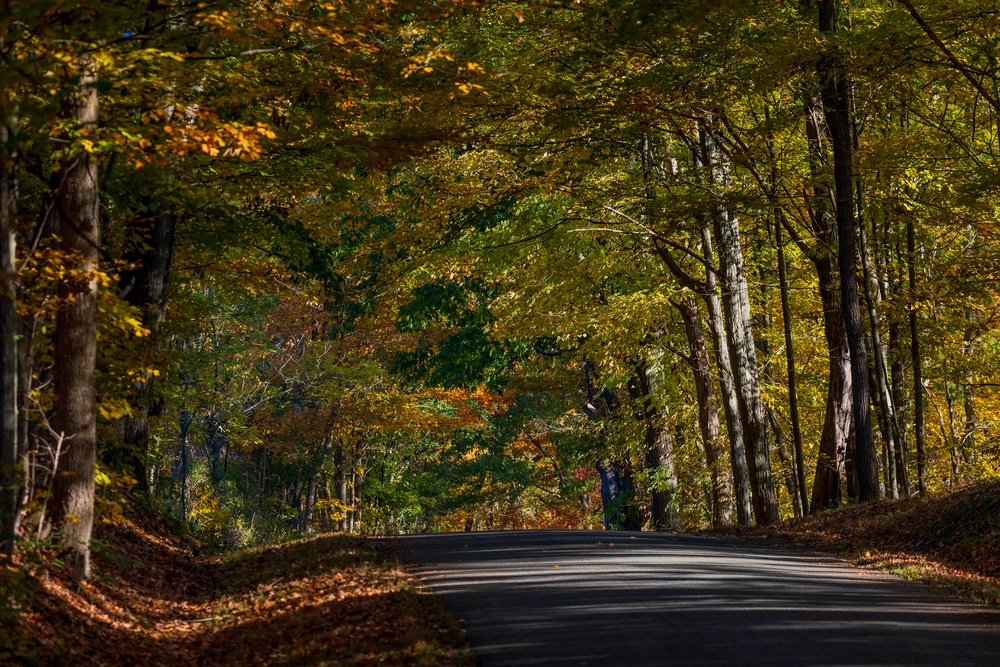 Autumn leaves bring fall colors to Pittsburgh District reservoirs, landscapes