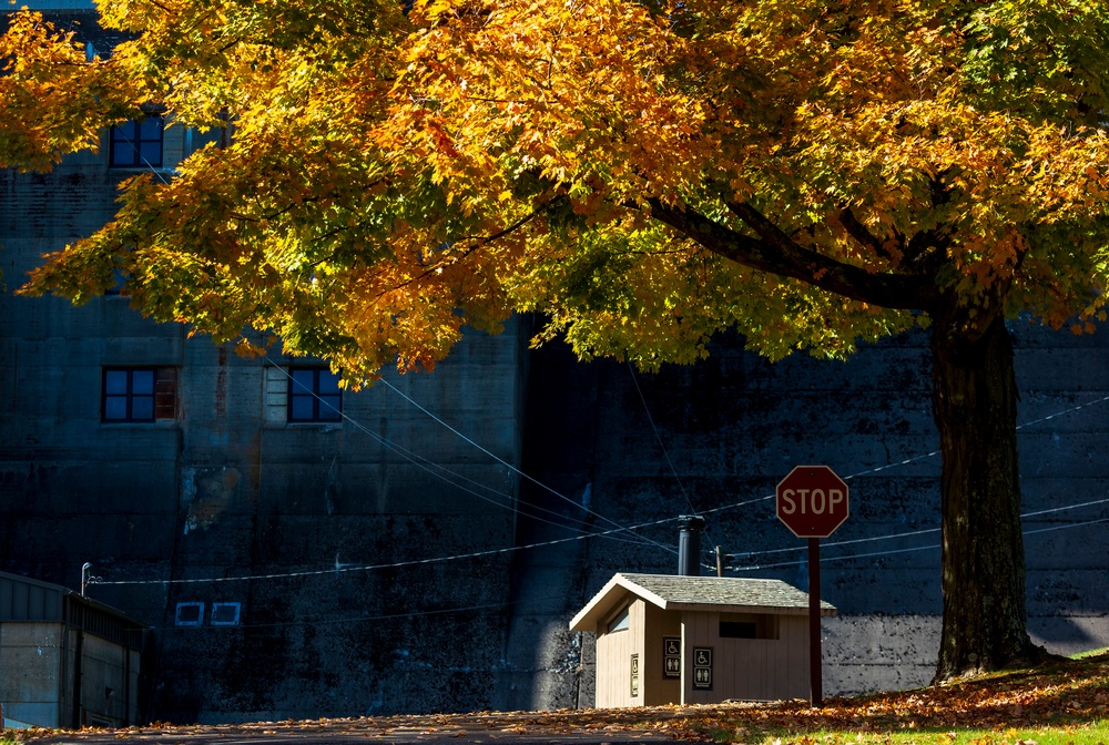 Autumn leaves bring fall colors to Pittsburgh District reservoirs, landscapes