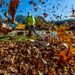 Autumn leaves bring fall colors to Pittsburgh District reservoirs, landscapes