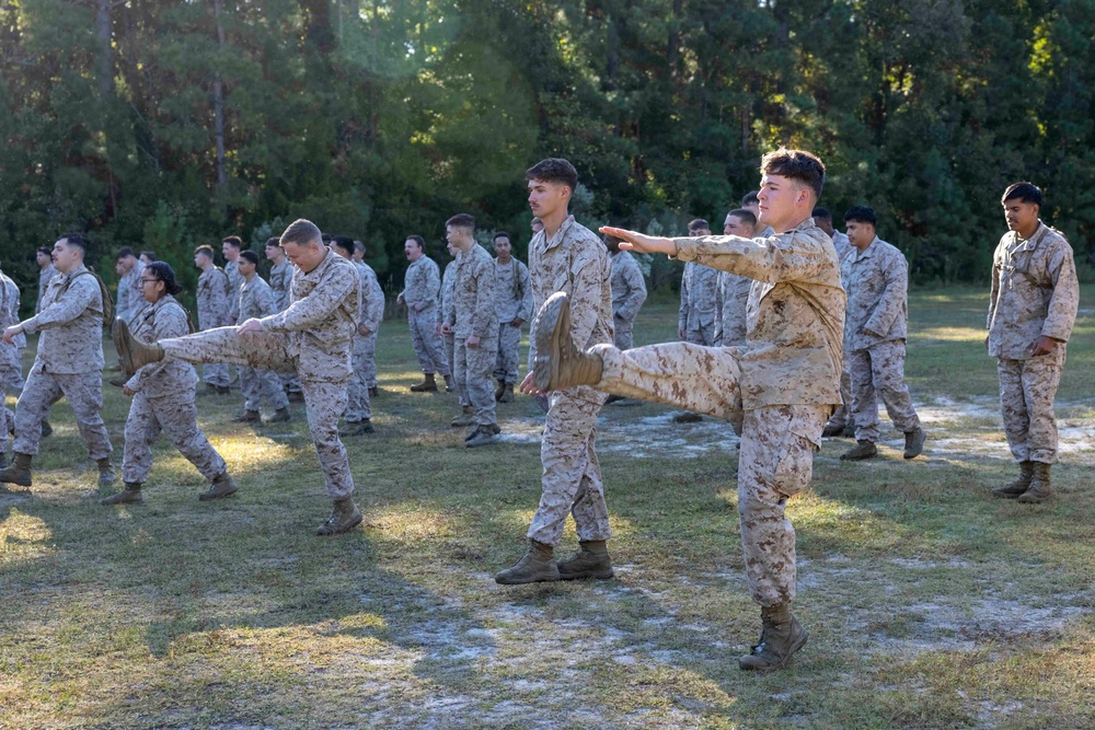 Combat Logistics Battalion 6 Conducts Endurance Course Training