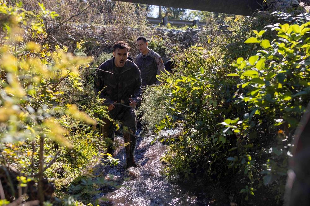 Combat Logistics Battalion 6 Conducts Endurance Course Training