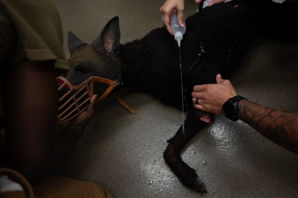 MWD handlers hone emergency care skills