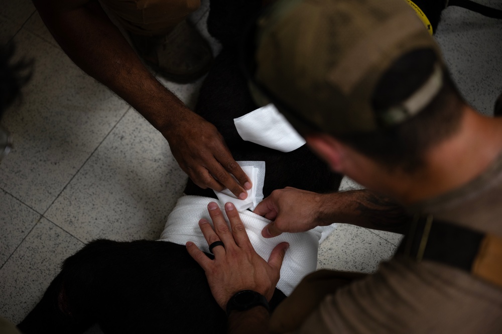 MWD handlers hone emergency care skills