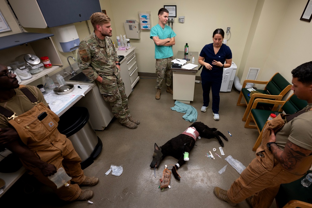MWD handlers hone emergency care skills