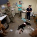 MWD handlers hone emergency care skills